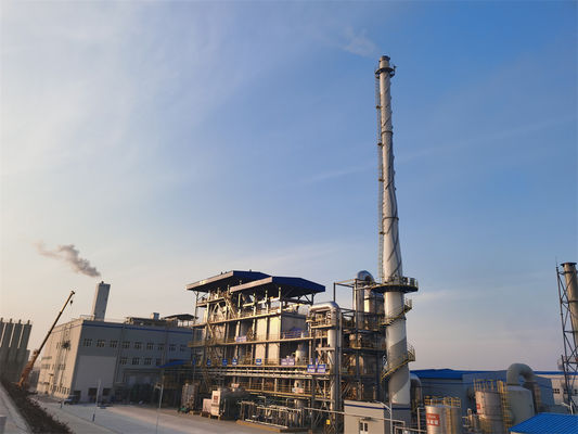 Incineratore di rifiuti medici ospedalieri da 120 t/giorno Emissioni standard europee