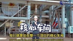 Impianto di incenerimento di fanghi Trattamento e smaltimento / combustione di fanghi 380V/220V