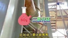 60%-80% di umidità Incinerazione di fanghi con sistema automatizzato avanzato